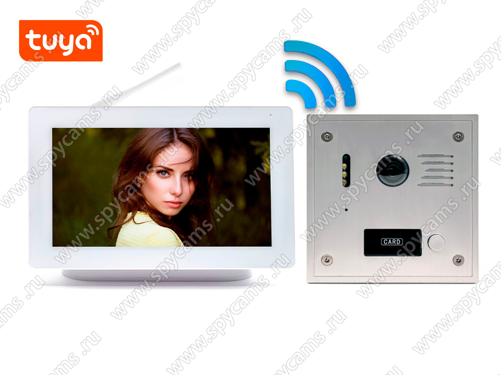 Комплект беспроводной домофон «SkyNet 800-Tuya (1+0)» с вызывной ...