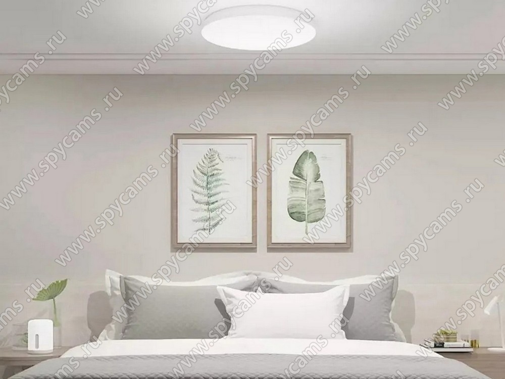 Xiaomi mi smart led best sale ceiling light